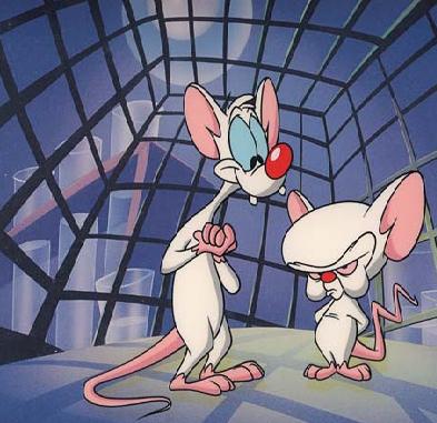 pinky and brain. My plans to take over the